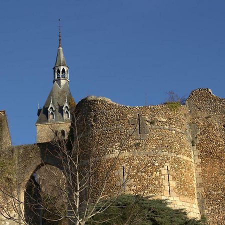 Gite "La Mesangerie" Villa Château-Renard Екстериор снимка
