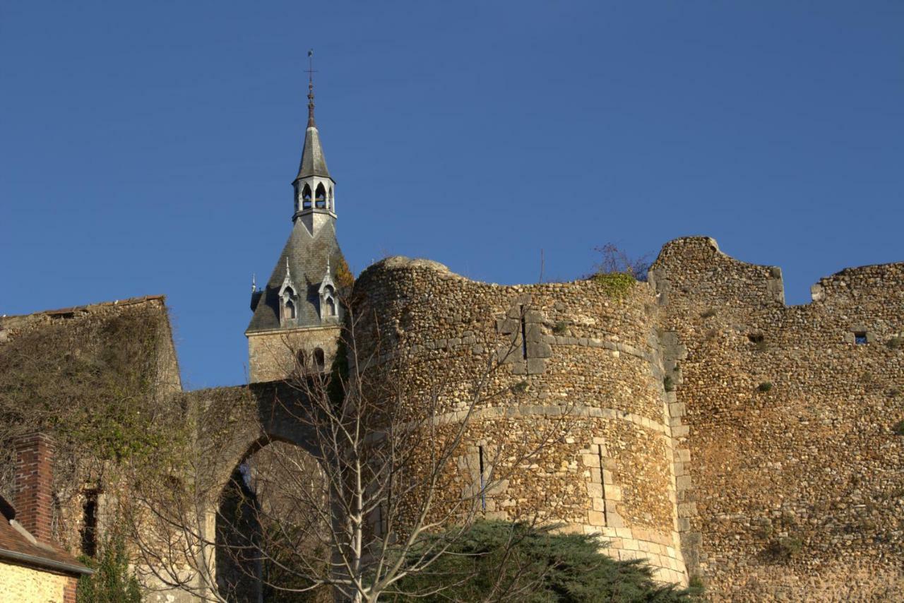 Gite "La Mesangerie" Villa Château-Renard Екстериор снимка