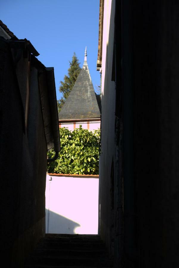 Gite "La Mesangerie" Villa Château-Renard Екстериор снимка